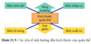 Quan sát hình 21.9 và cho biết sự tác động của các yếu tố đến kích thước quần thể