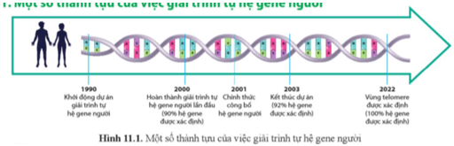 Quan sát hình 11.1 và nêu một số thành tựu của việc giải trình tự hệ gene người