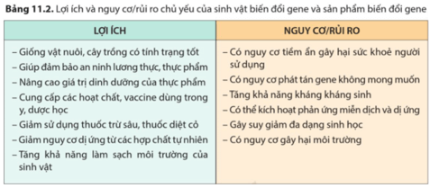 Dựa trên thông tin trong bảng 11.2, lấy ví dụ để tranh luận, phản biện các lợi ích hoặc nguy cơ