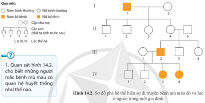 Quan sát hình 14.2, cho biết những người mắc bệnh mù màu có quan hệ huyết thống như thế nào