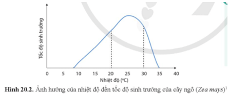 Quan sát hình 20.2 và cho biết khoảng thuận lợi và điểm tới hạn về nhiệt độ