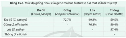 Đọc thông tin trong bảng 15.1, nhận xét mối quan hệ họ hàng giữa các loài thực vật