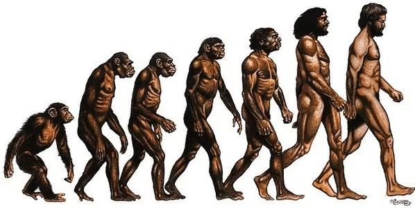 Lý thuyết Hệ gene, công nghệ gene và ứng dụng (Sinh 12 Cánh diều Bài 11)