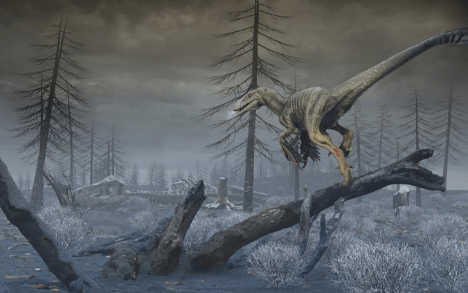 Lý thuyết Bằng chứng tiến hoá (Sinh 12 Cánh diều Bài 15)