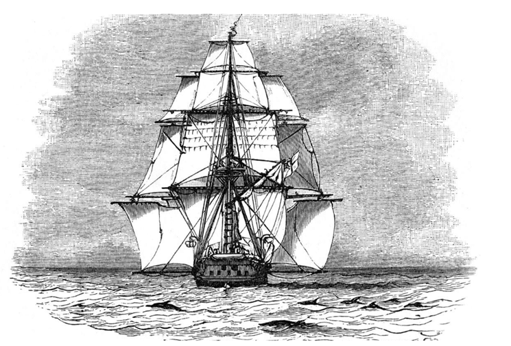 Lý thuyết Quan niệm của Darwin về chọn lọc tự nhiên và hình thành loài (Sinh 12 Cánh diều Bài 16)