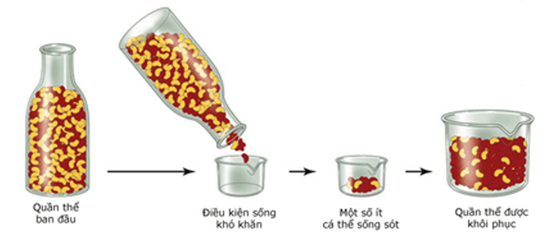 Lý thuyết Thuyết tiến hóa tổng hợp hiện đại (Phần 1) (Sinh 12 Cánh diều Bài 17)