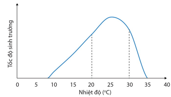 Lý thuyết Môi trường sống và các nhân tố sinh thái (Sinh 12 Cánh diều Bài 20)