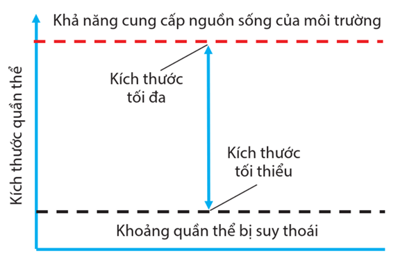 Lý thuyết Sinh thái học quần thể (Sinh 12 Cánh diều Bài 21)