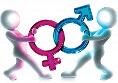 Lý thuyết Sinh thái học quần thể (Sinh 12 Cánh diều Bài 21)