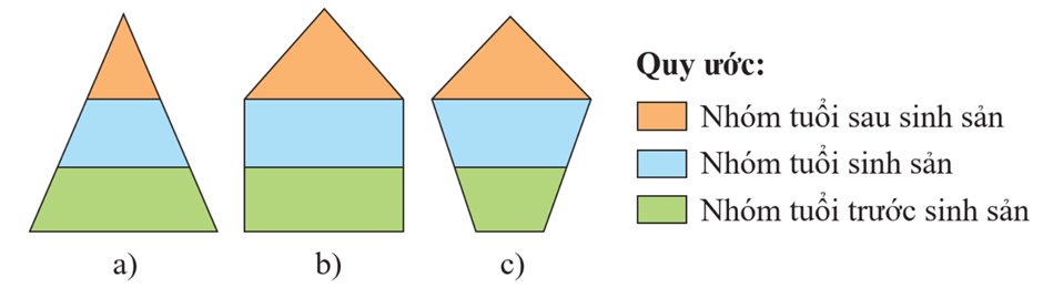 Lý thuyết Sinh thái học quần thể (Sinh 12 Cánh diều Bài 21)