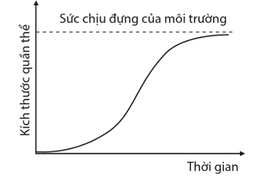 Lý thuyết Sinh thái học quần thể (Sinh 12 Cánh diều Bài 21)