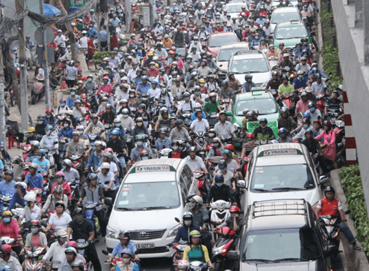 Lý thuyết Sinh thái học quần thể (Sinh 12 Cánh diều Bài 21)