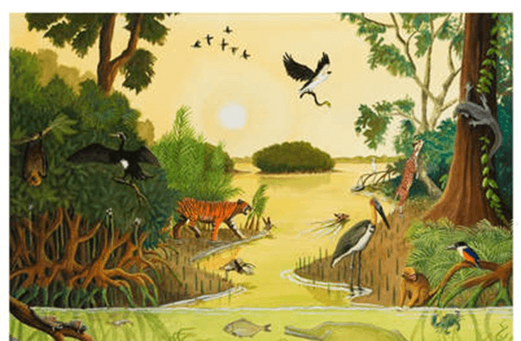 Lý thuyết Sinh thái học quần xã (Sinh 12 Cánh diều Bài 22)