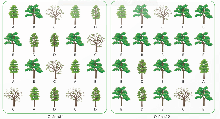 Lý thuyết Sinh thái học quần xã (Sinh 12 Cánh diều Bài 22)