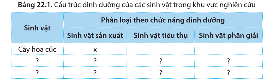 Lý thuyết Sinh thái học quần xã (Sinh 12 Cánh diều Bài 22)