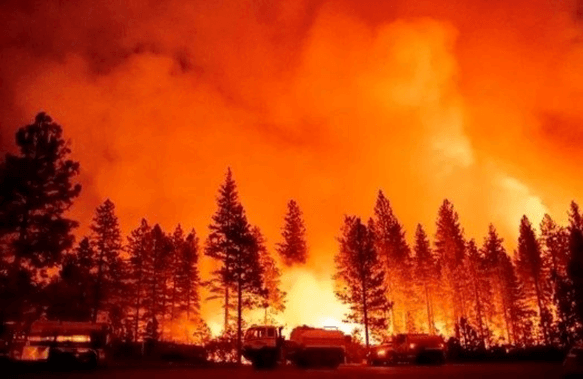 Lý thuyết Hệ sinh thái (Sinh 12 Cánh diều Bài 23)