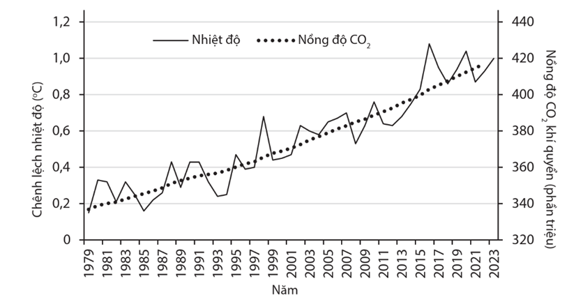 Lý thuyết Hệ sinh thái (Sinh 12 Cánh diều Bài 23)