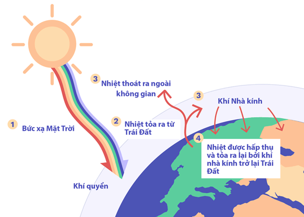 Lý thuyết Hệ sinh thái (Sinh 12 Cánh diều Bài 23)