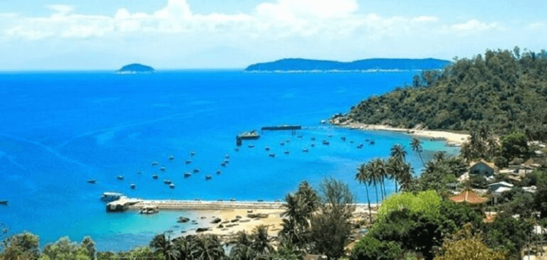 Lý thuyết Sinh thái học phục hồi và bảo tồn (Sinh 12 Cánh diều Bài 25)