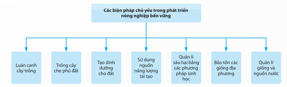 Lý thuyết Phát triển bền vững (Sinh 12 Cánh diều Bài 26)