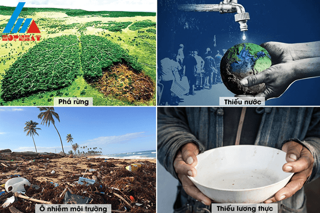 Lý thuyết Phát triển bền vững (Sinh 12 Cánh diều Bài 26)