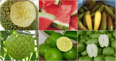 Lý thuyết Đột biến nhiễm sắc thể (Sinh 12 Cánh diều Bài 6)