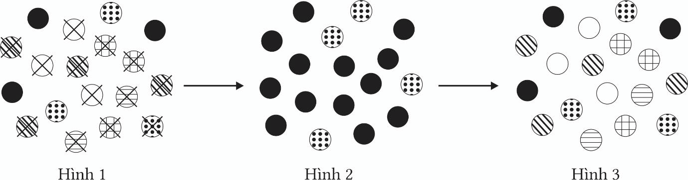 Trắc nghiệm Sinh học 12 Cánh diều Bài 16 (có đáp án): Quan niệm của Darwin về chọn lọc tự nhiên và hình thành loài