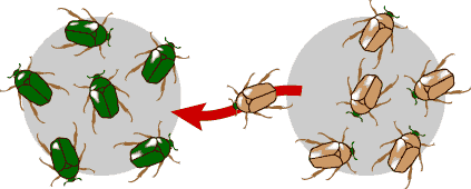 Trắc nghiệm Sinh học 12 Cánh diều Bài 17 (có đáp án): Thuyết tiến hóa tổng hợp hiện đại (Phần 1)