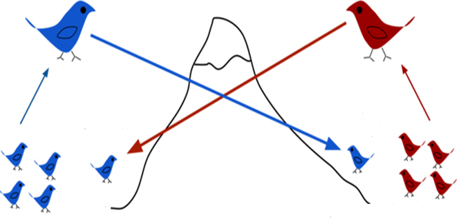 Trắc nghiệm Sinh học 12 Cánh diều Bài 17 (có đáp án): Thuyết tiến hóa tổng hợp hiện đại (Phần 1)