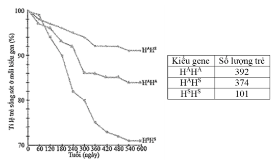 Trắc nghiệm Sinh học 12 Cánh diều Bài 17 (có đáp án): Thuyết tiến hóa tổng hợp hiện đại (Phần 1)