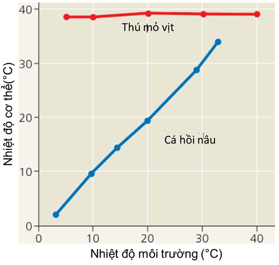 Trắc nghiệm Sinh học 12 Cánh diều Bài 20 (có đáp án): Môi trường sống và các nhân tố sinh thái 