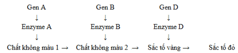 Trắc nghiệm Sinh học 12 Cánh diều Bài 7 (có đáp án): Di truyền học Mendel và mở rộng học thuyết Mendel