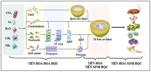 Hãy sưu tầm tài liệu tranh ảnh, thông tin khác từ bài báo khoa học, sách