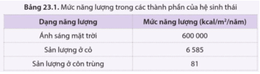 Bảng 23.1 thể hiện năng lượng của một số thành phần khác nhau trong hệ sinh thái 