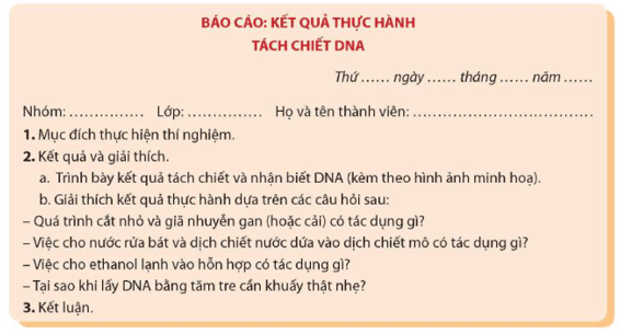 Viết và trình bày báo cáo theo mẫu trang 16 Sinh học 12