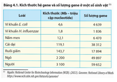 Đọc thông tin trong Bảng 4.1 hãy nhận xét tính đặc trưng về hệ gene ở một số loài sinh vật