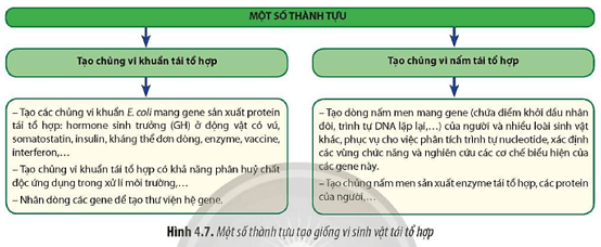 Quan sát Hình 4.7 hãy cho biết công nghệ DNA tái tổ hợp được ứng dụng trong những lĩnh vực nào