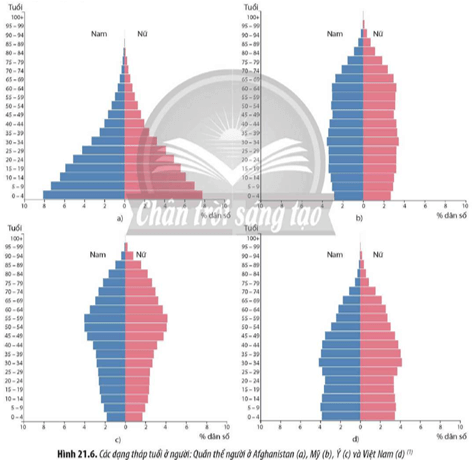 Quan sát Hình 21.6, hãy xác định các dạng tháp tuổi của một số quần thể người