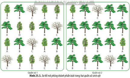 Hãy xác định số loài và độ phong phú tương đối của các loài trong quần xã 1 và quần xã 2