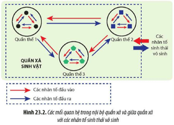 Trình bày các mối quan hệ được thể hiện trong Hình 23.2 Cho ví dụ minh hoạ