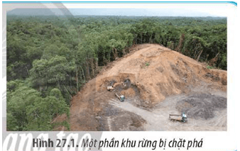 Hình 27.1 cho thấy một phần của khu rừng nhiệt đới đã bị chặt phá