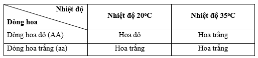 Lý thuyết Sinh 12 Chân trời sáng tạo Bài 10: Mối quan hệ giữa kiểu gene - kiểu hình - môi trường
