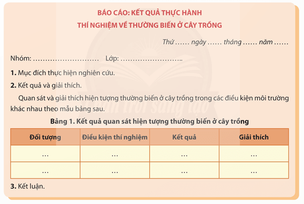 Lý thuyết Sinh 12 Chân trời sáng tạo Bài 11: Thực hành: Thí nghiệm về thường biển ở cây trồng