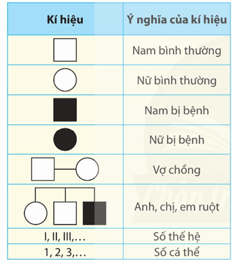 Lý thuyết Sinh 12 Chân trời sáng tạo Bài 14: Di truyền học người