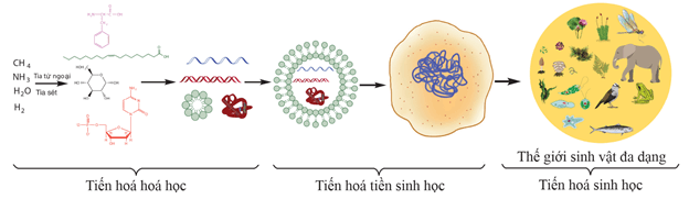 Lý thuyết Sinh 12 Chân trời sáng tạo Bài 18: Sự phát sinh sự sống