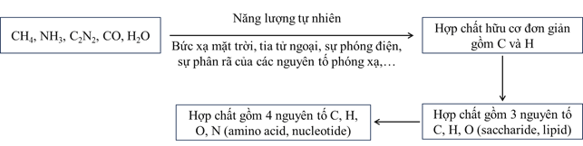 Lý thuyết Sinh 12 Chân trời sáng tạo Bài 18: Sự phát sinh sự sống