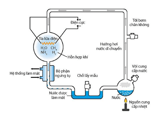 Lý thuyết Sinh 12 Chân trời sáng tạo Bài 18: Sự phát sinh sự sống