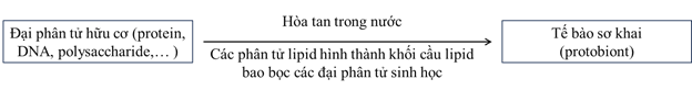 Lý thuyết Sinh 12 Chân trời sáng tạo Bài 18: Sự phát sinh sự sống
