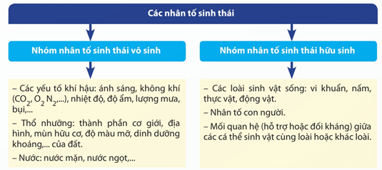 Lý thuyết Sinh 12 Chân trời sáng tạo Bài 20: Môi trường và các nhân tố sinh thái