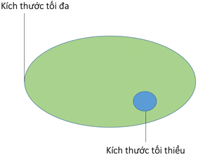 Lý thuyết Sinh 12 Chân trời sáng tạo Bài 21: Quần thể sinh vật